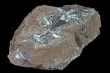 Metallic, Needle-Like Pyrolusite Cystals - Morocco #141009-1